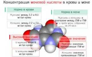 Мочевая кислота в крови повышена причины, симптомы и лечение