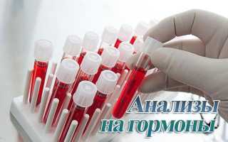 Сколько действительны анализы крови и мочи: срок годности