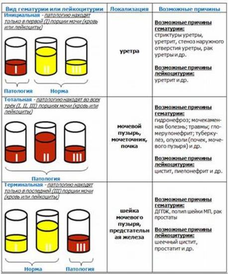 Диагностические исследования