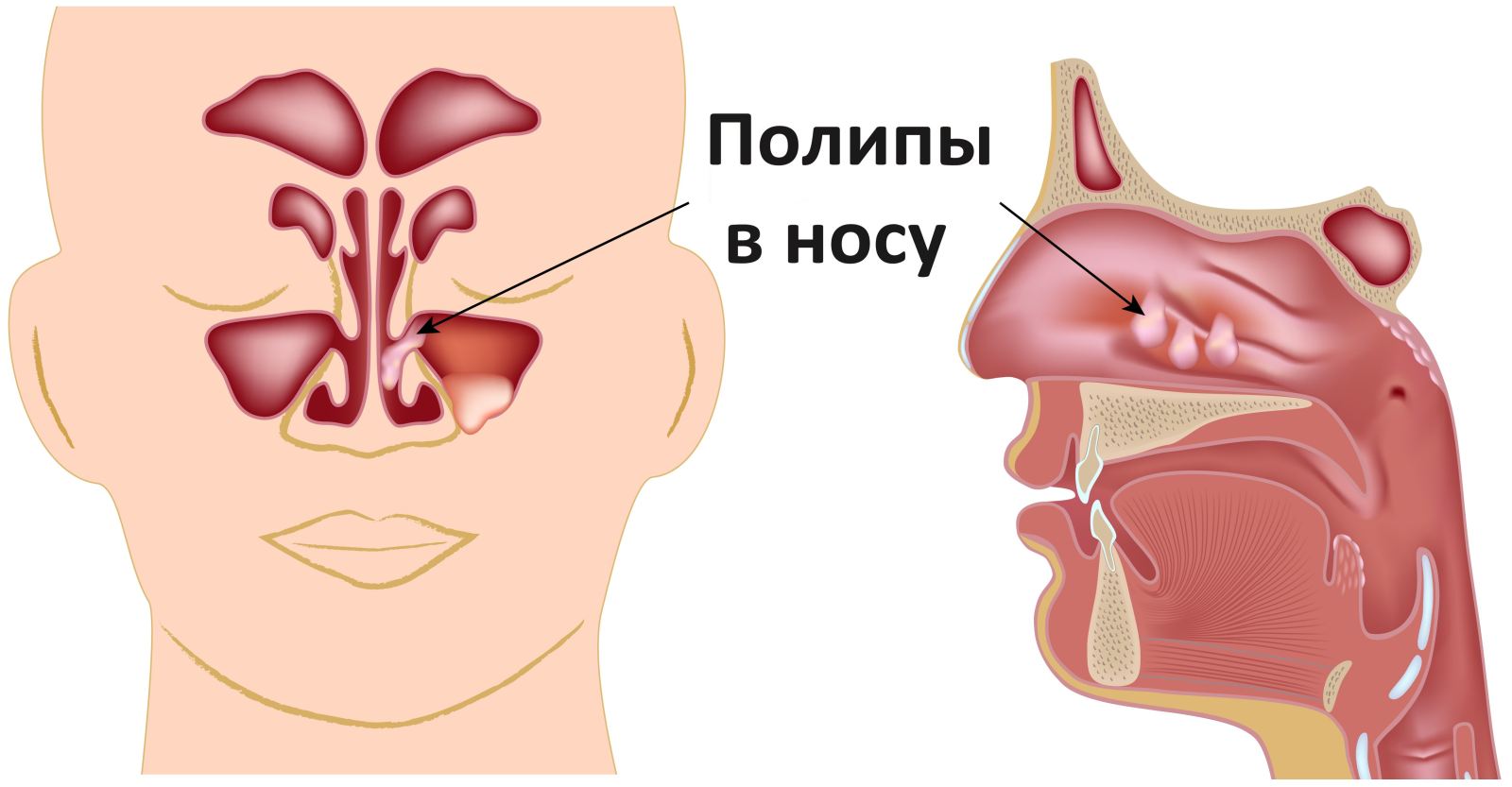 Диагностические исследования